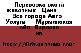 Перевозка скота животных › Цена ­ 39 - Все города Авто » Услуги   . Мурманская обл.,Видяево нп